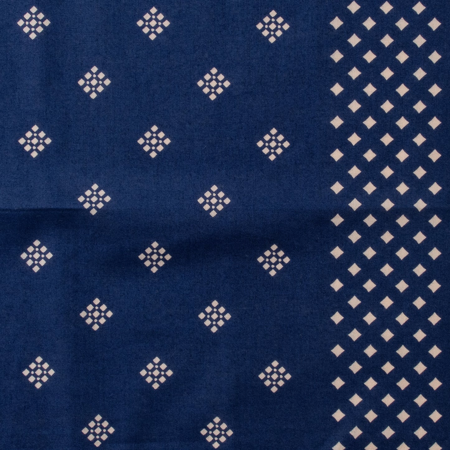 THE CAMEL BRAND - BISHI - NAVY