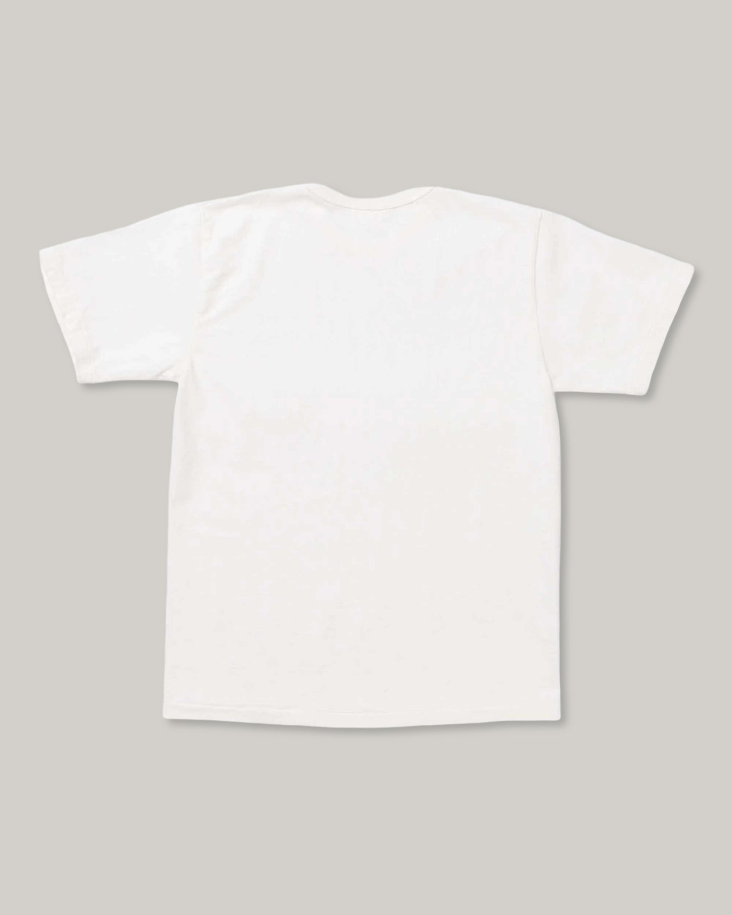ALLLEVOL HEAVY DUTY CREW NECK T-SHIRT CROPPED - WHITE