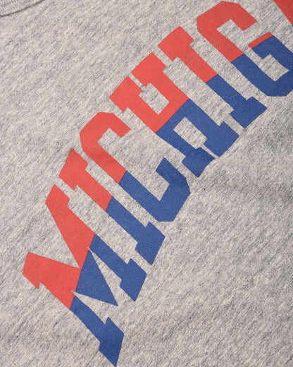 WHITESVILLE MICHIGAN T-SHIRT - HEATHER GRAY