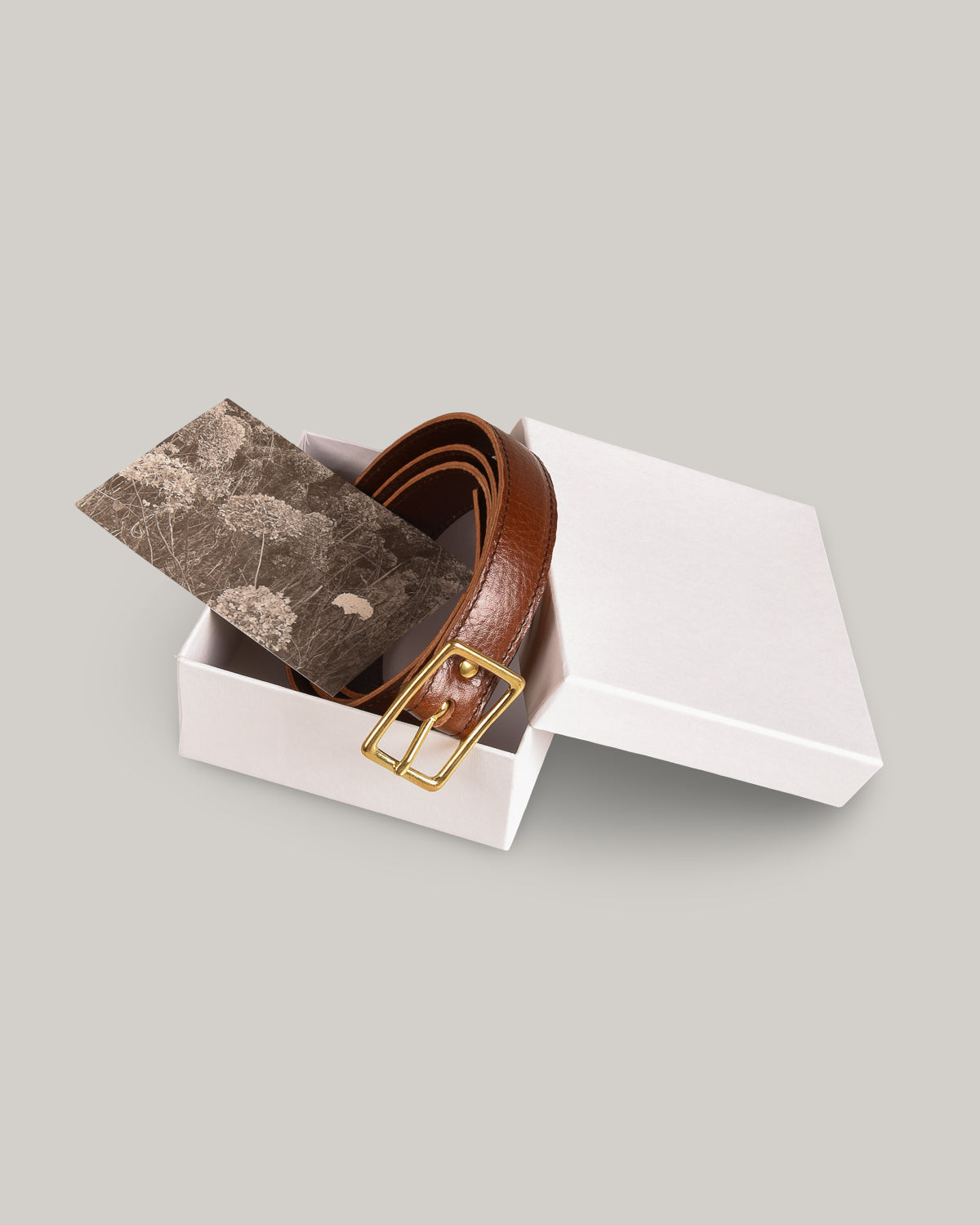 STEVE MONO BRASS BUCKLE DAX BELT 006 - COGNAC